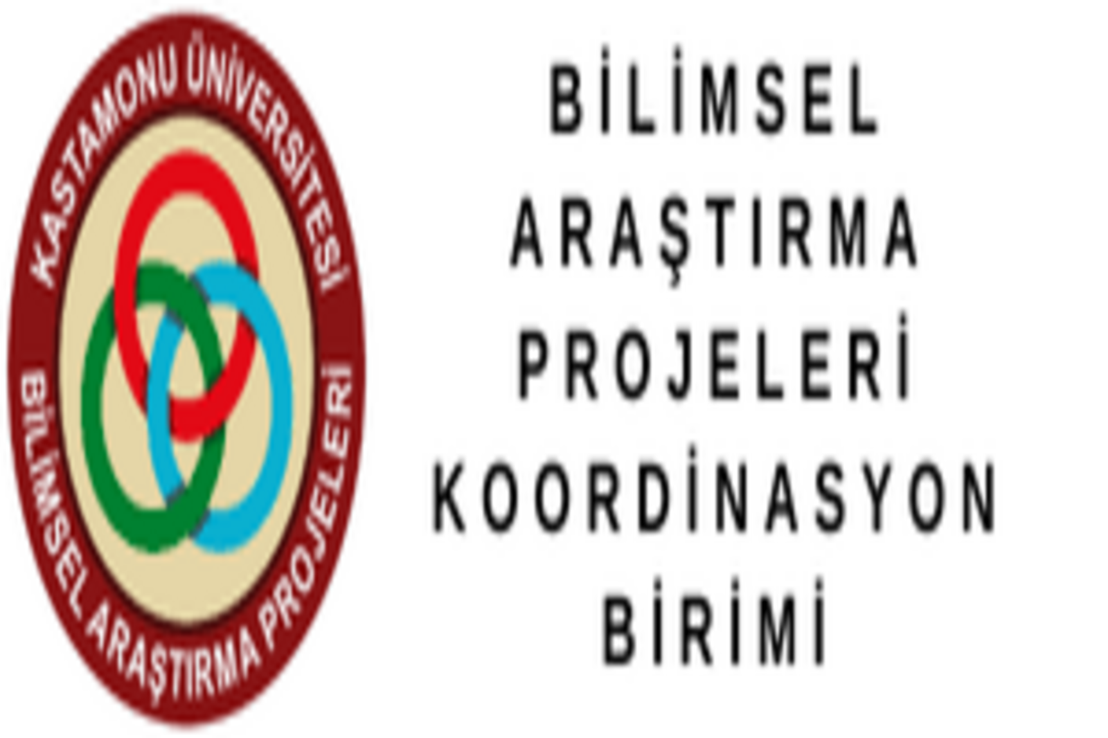 Kastamonu Üniversitesi Özel Eğitim Bölümünden BAP Destekli Yeni Proje: “Eğitimde Erişilebilirlik”