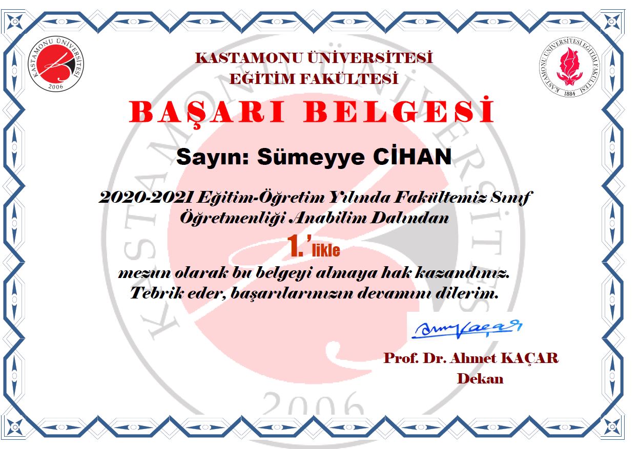 sınıf